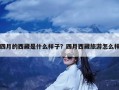 四月的西藏是什么样子？四月西藏旅游怎么样