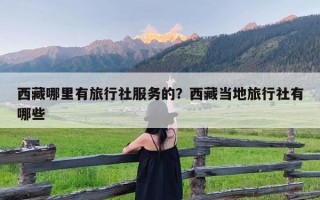 西藏哪里有旅行社服务的？西藏当地旅行社有哪些