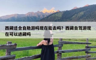 西藏适合自助游吗现在能去吗？西藏自驾游现在可以进藏吗