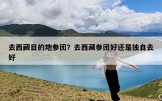 去西藏目的地参团？去西藏参团好还是独自去好