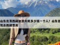 山东出发西藏旅游大概多少钱一个人？山东自驾去西藏费用