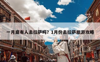 一月底有人去拉萨吗？1月份去拉萨旅游攻略