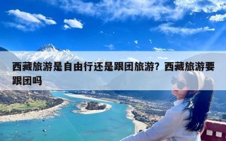 西藏旅游是自由行还是跟团旅游？西藏旅游要跟团吗