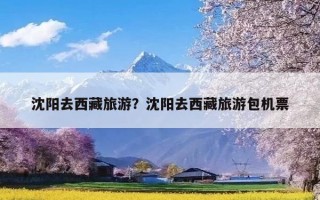 沈阳去西藏旅游？沈阳去西藏旅游包机票