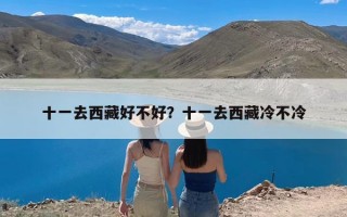 十一去西藏好不好？十一去西藏冷不冷