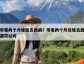 带着两个月娃娃去西藏？带着两个月娃娃去西藏可以吗