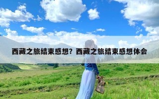 西藏之旅结束感想？西藏之旅结束感想体会