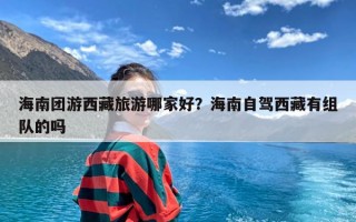 海南团游西藏旅游哪家好？海南自驾西藏有组队的吗