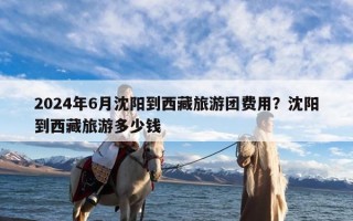 2024年6月沈阳到西藏旅游团费用？沈阳到西藏旅游多少钱