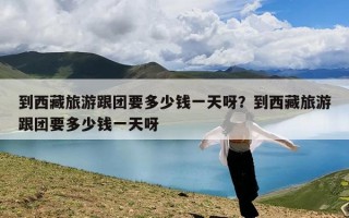 到西藏旅游跟团要多少钱一天呀？到西藏旅游跟团要多少钱一天呀