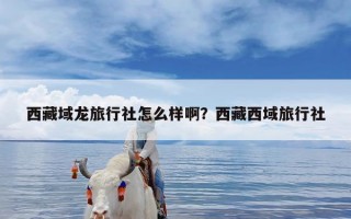 西藏域龙旅行社怎么样啊？西藏西域旅行社