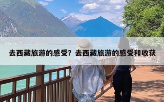 去西藏旅游的感受？去西藏旅游的感受和收获