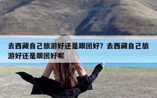 去西藏自己旅游好还是跟团好？去西藏自己旅游好还是跟团好呢