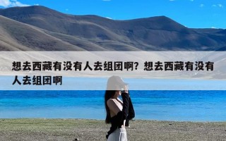 想去西藏有没有人去组团啊？想去西藏有没有人去组团啊