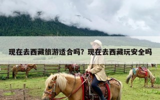 现在去西藏旅游适合吗？现在去西藏玩安全吗