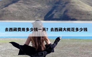 去西藏费用多少钱一天？去西藏大概花多少钱