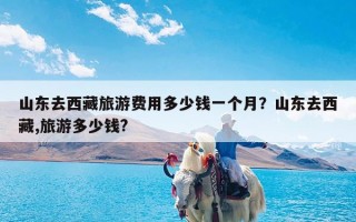 山东去西藏旅游费用多少钱一个月？山东去西藏,旅游多少钱?