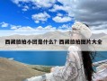 西藏旅拍小团是什么？西藏旅拍图片大全