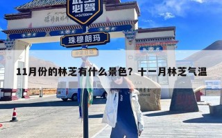 11月份的林芝有什么景色？十一月林芝气温