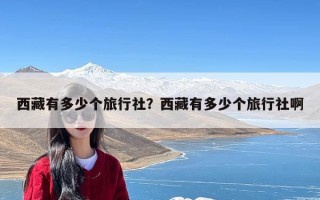 西藏有多少个旅行社？西藏有多少个旅行社啊