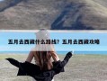 五月去西藏什么路线？五月去西藏攻略