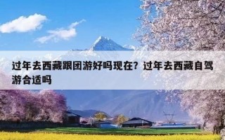 过年去西藏跟团游好吗现在？过年去西藏自驾游合适吗