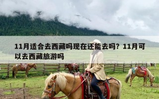 11月适合去西藏吗现在还能去吗？11月可以去西藏旅游吗