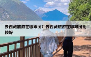 去西藏旅游在哪跟团？去西藏旅游在哪跟团比较好