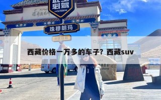 西藏价格一万多的车子？西藏suv