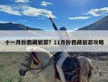 十一月份西藏旅游？11月份西藏旅游攻略