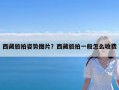 西藏旅拍姿势图片？西藏旅拍一般怎么收费