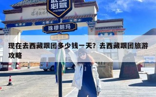 现在去西藏跟团多少钱一天？去西藏跟团旅游攻略