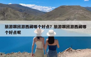 旅游跟团游西藏哪个好点？旅游跟团游西藏哪个好点呢