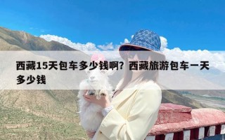 西藏15天包车多少钱啊？西藏旅游包车一天多少钱