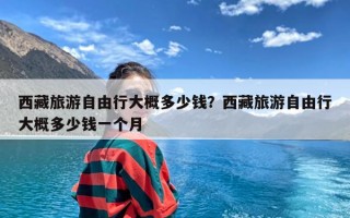 西藏旅游自由行大概多少钱？西藏旅游自由行大概多少钱一个月