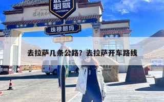 去拉萨几条公路？去拉萨开车路线