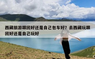 西藏旅游跟团好还是自己包车好？去西藏玩跟团好还是自己玩好