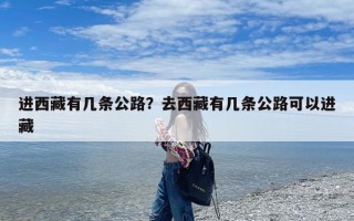 进西藏有几条公路？去西藏有几条公路可以进藏