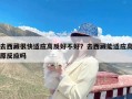 去西藏很快适应高反好不好？去西藏能适应高原反应吗