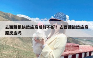 去西藏很快适应高反好不好？去西藏能适应高原反应吗