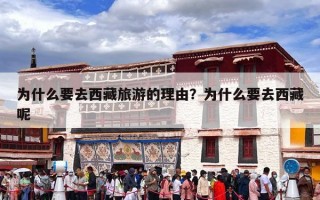 为什么要去西藏旅游的理由？为什么要去西藏呢