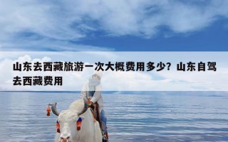 山东去西藏旅游一次大概费用多少？山东自驾去西藏费用