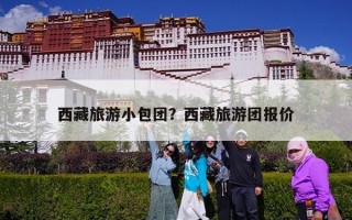 西藏旅游小包团？西藏旅游团报价