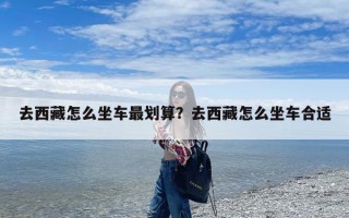 去西藏怎么坐车最划算？去西藏怎么坐车合适