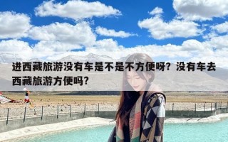 进西藏旅游没有车是不是不方便呀？没有车去西藏旅游方便吗?