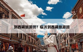 到西藏旅游团？临沂到西藏旅游团