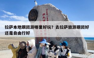 拉萨本地跟团游哪里好玩？去拉萨旅游跟团好还是自由行好