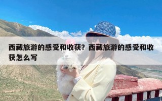 西藏旅游的感受和收获？西藏旅游的感受和收获怎么写