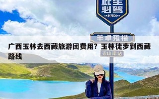 广西玉林去西藏旅游团费用？玉林徒步到西藏路线