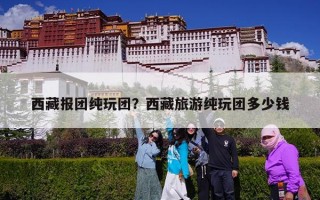 西藏报团纯玩团？西藏旅游纯玩团多少钱